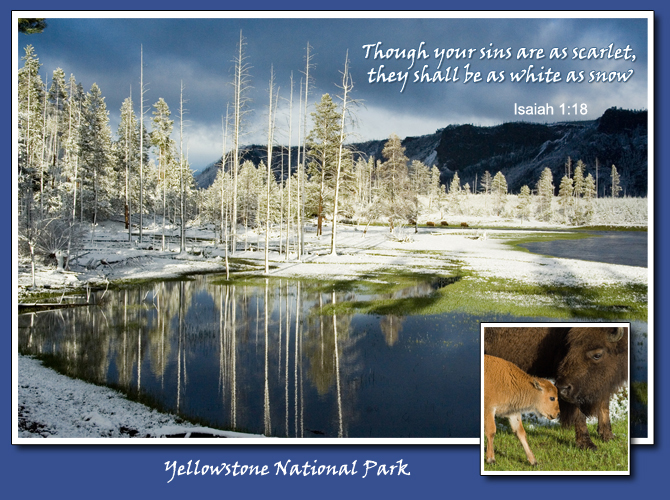 snowy yellowstone