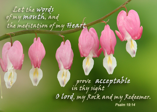 bleeding hearts