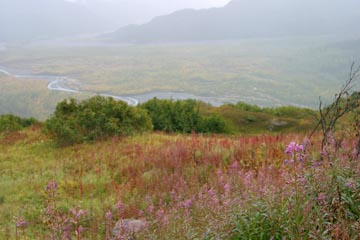 Western Landscapes Galllery